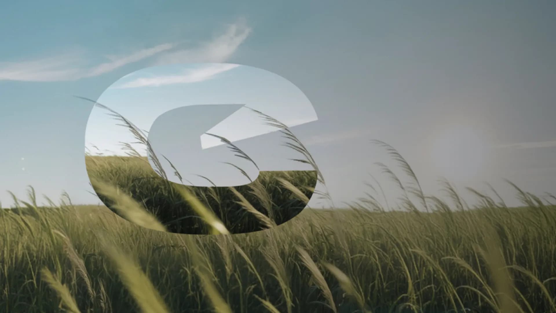 Field of grass under an open sky